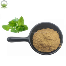 The Best Lemon Balm Extract Melissa Officinalis Extract